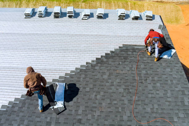Best Storm Damage Roof Repair  in Pineville, KY